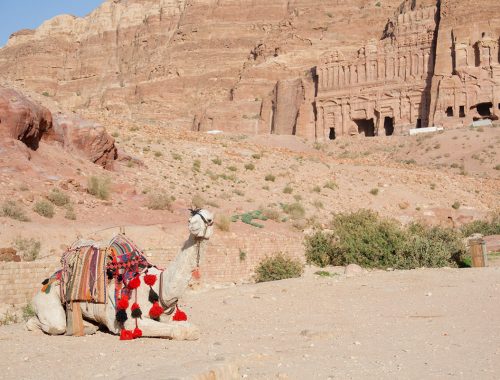 Kamel vor den Königsgräbern im jordanischen Petra